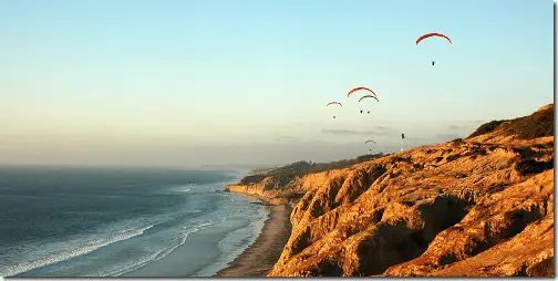 Torrey Pines